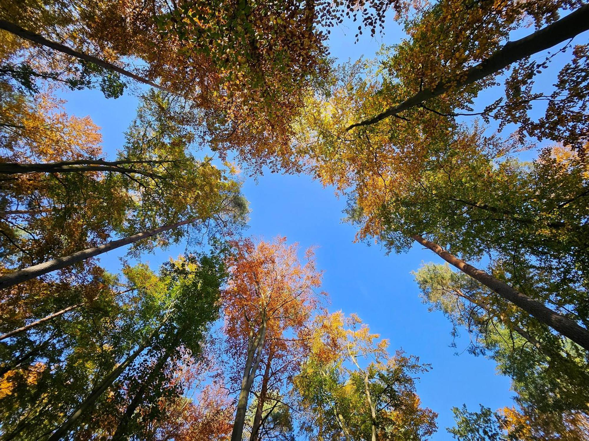 Fewo Am Wald Boek Екстериор снимка